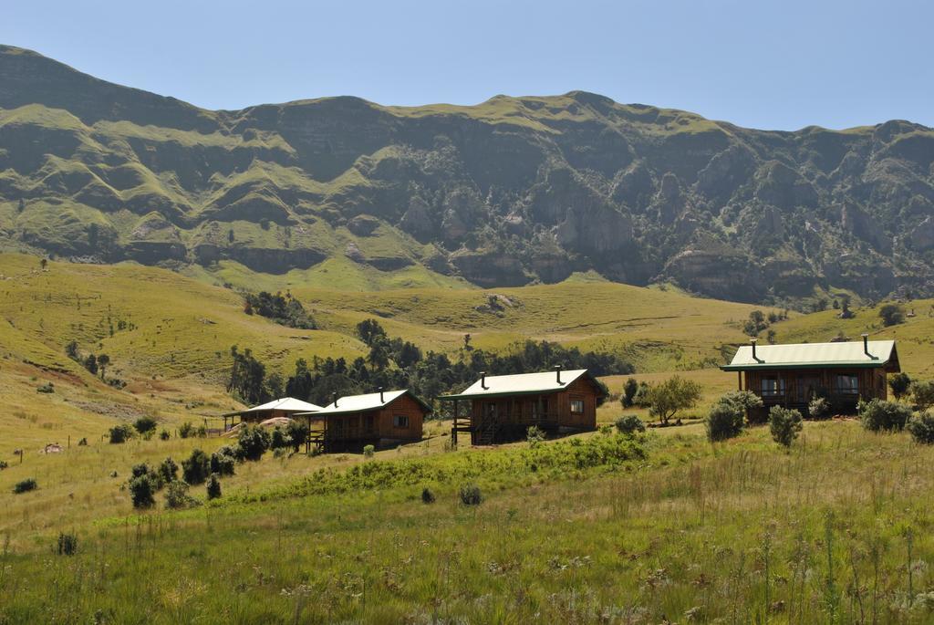 Greenfire Drakensberg Lodge Bonjaneni 部屋 写真