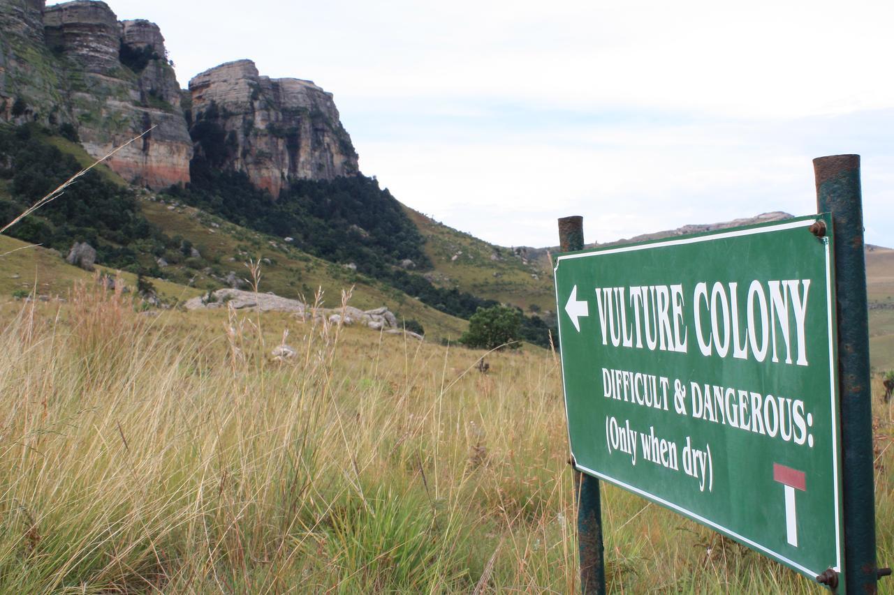 Greenfire Drakensberg Lodge Bonjaneni エクステリア 写真